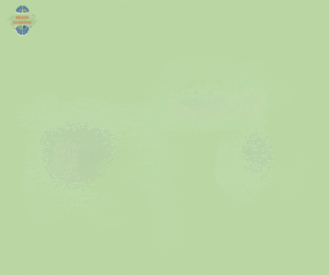 Light green textured background with a small “Brain Sharing” logo in the top left corner, designed as a blank canvas for overlaid text or graphics.